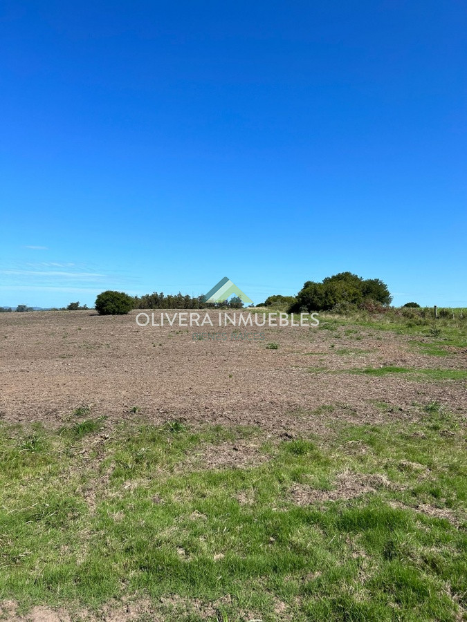 Campo Ref.9806 - VENTA CAMPO EN SAN CARLOS