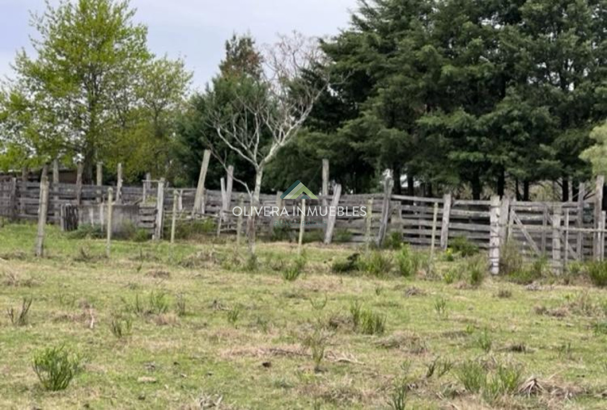 Campo Ref.11848 - Campo con cañada , monte eucaliptus , tajamar , casa 