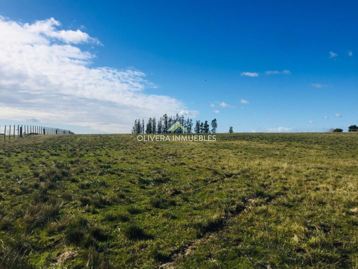 Campo Ref.9808 - VENTA DE CAMPO EN SAN CARLOS