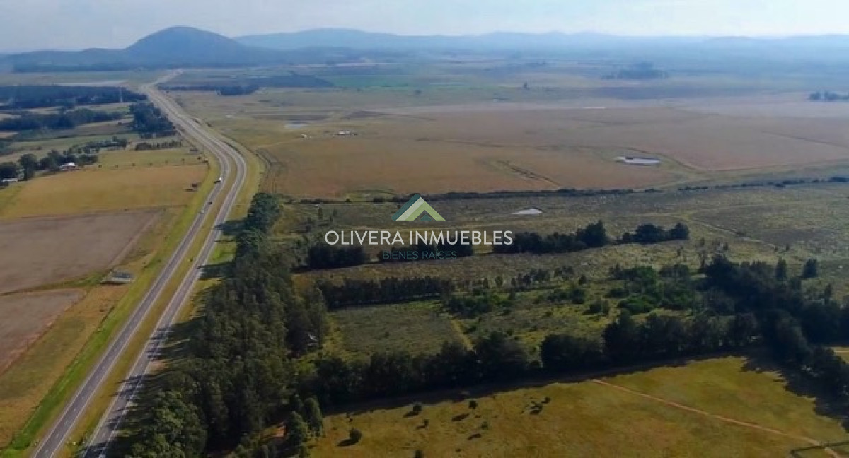Campo Ref.9631 - VENTA CAMPO EN RUTA INTERBALNEARIA