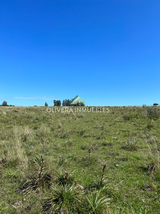 Campo Ref.9808 - VENTA DE CAMPO EN SAN CARLOS