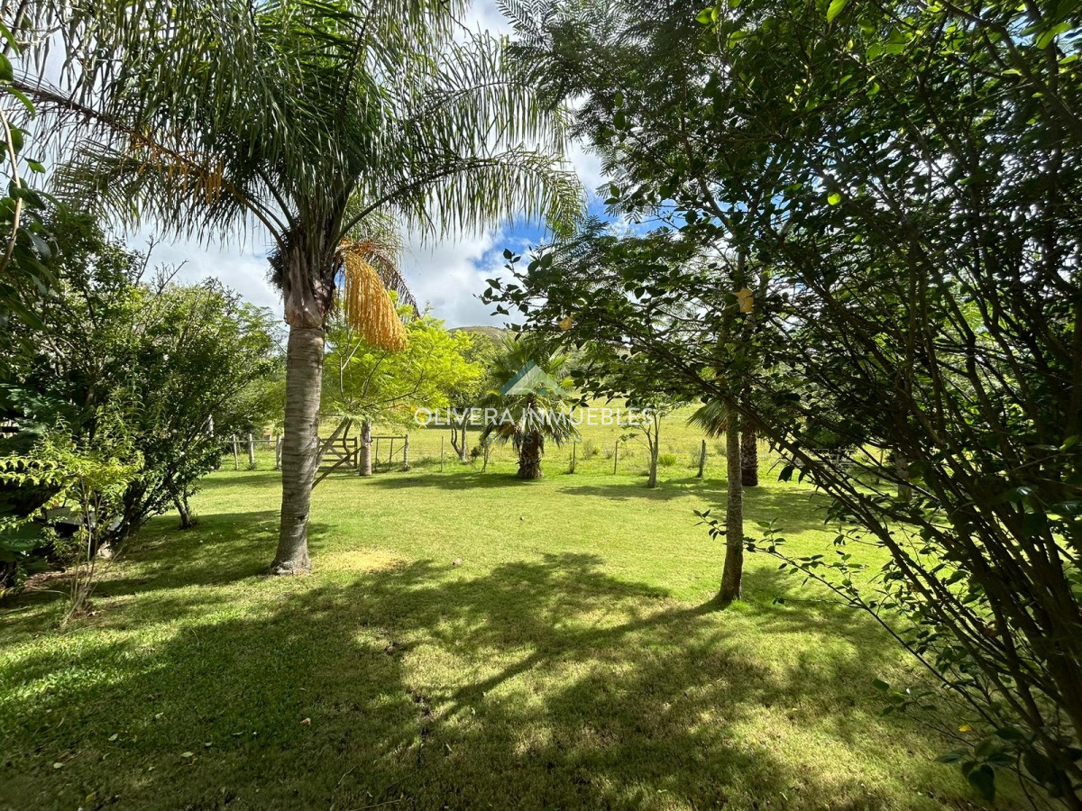 Campo Ref.11392 - Campo con casa-hotel en venta ubicado en Mariscala