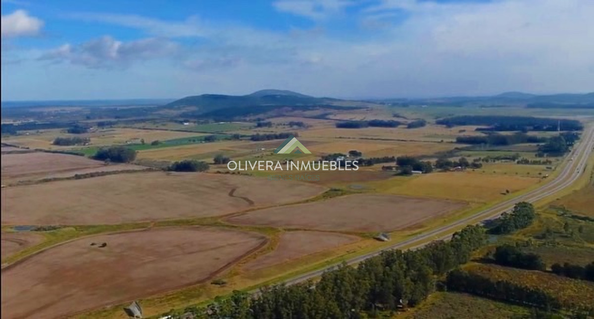 Campo Ref.9631 - VENTA CAMPO EN RUTA INTERBALNEARIA