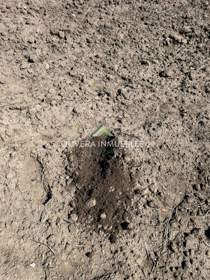 Campo Ref.9806 - VENTA CAMPO EN SAN CARLOS