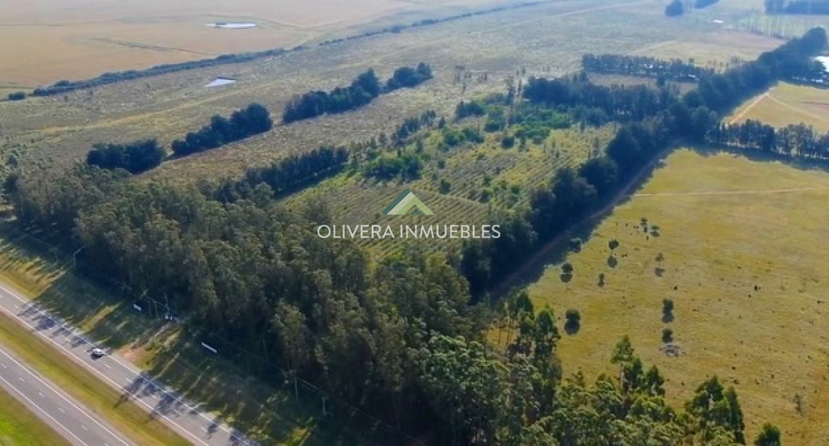 Campo Ref.9631 - VENTA CAMPO EN RUTA INTERBALNEARIA