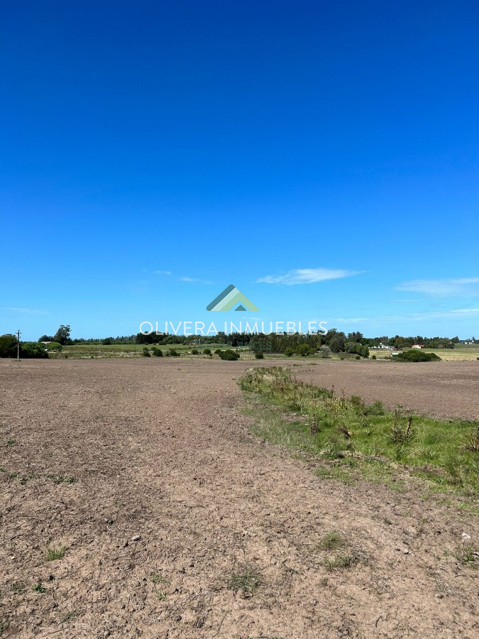 Campo Ref.9806 - VENTA CAMPO EN SAN CARLOS