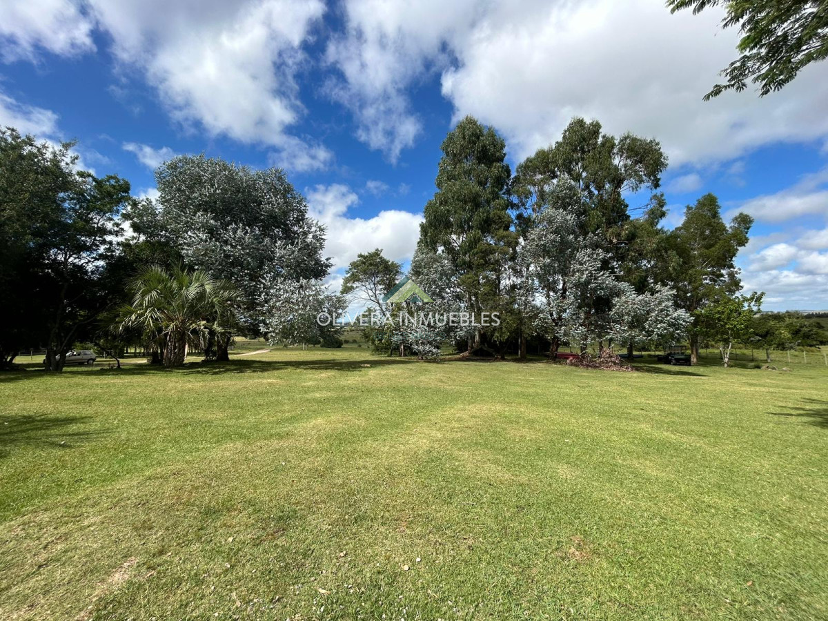 Campo Ref.11392 - Campo con casa-hotel en venta ubicado en Mariscala