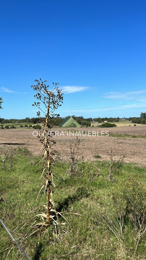 Campo Ref.9806 - VENTA CAMPO EN SAN CARLOS