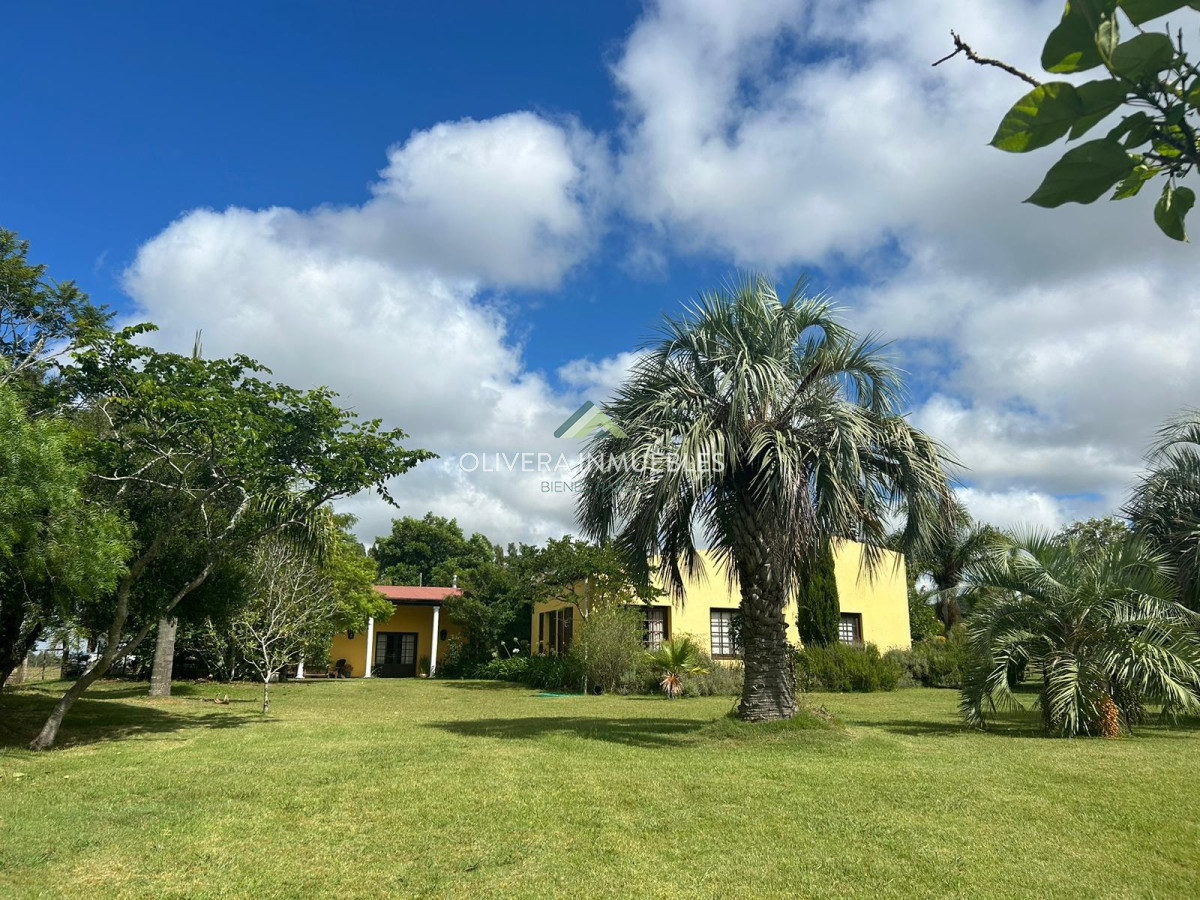 Campo Ref.11392 - Campo con casa-hotel en venta ubicado en Mariscala