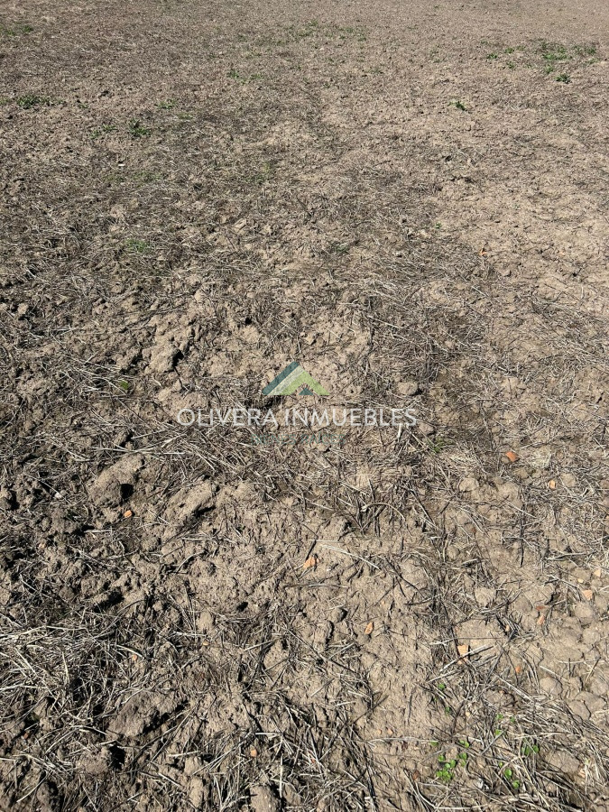 Campo Ref.9806 - VENTA CAMPO EN SAN CARLOS