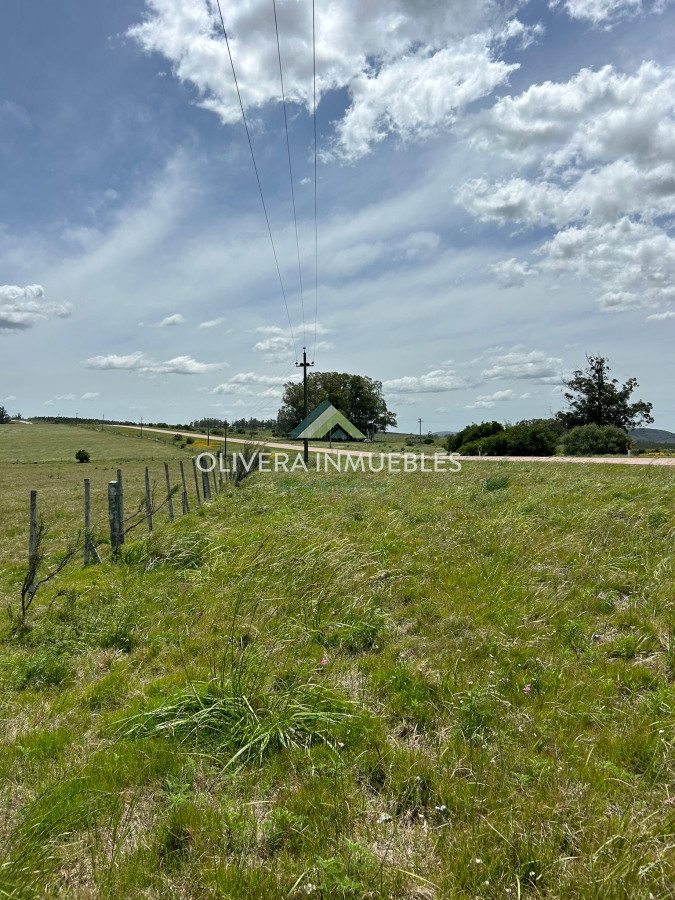 Campo Ref.11183 - Campo en venta, perteneciente a San Carlos