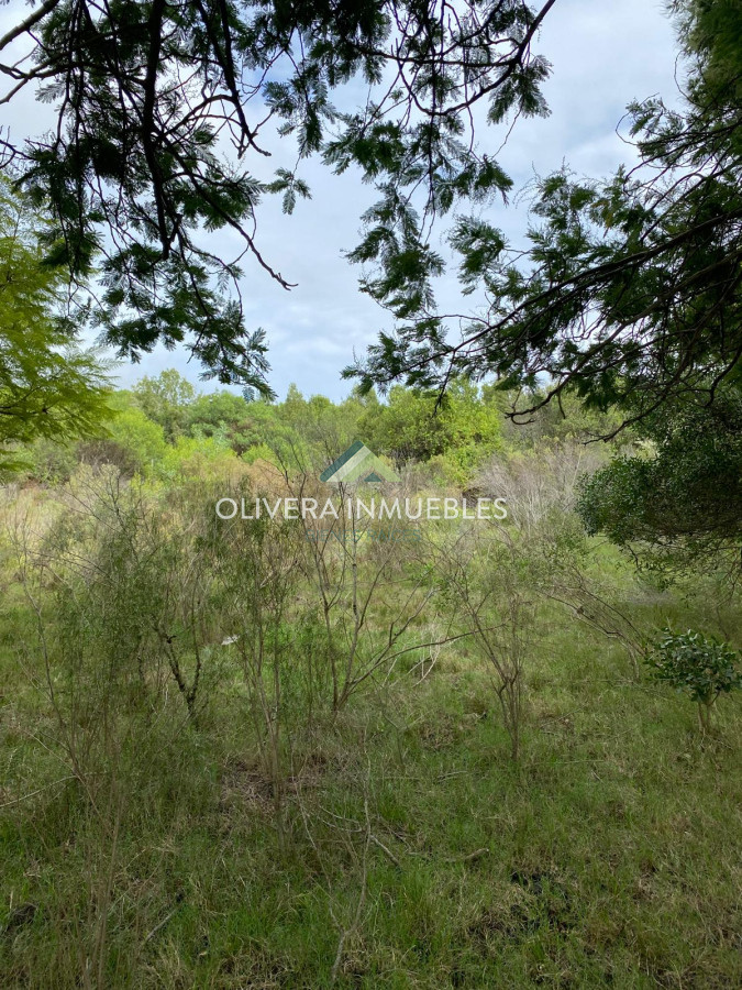 Campo Ref.13404 - CAMPO DE 13 HECTAREAS A 3 KILOMETROS DE PUEBLO EDEN 