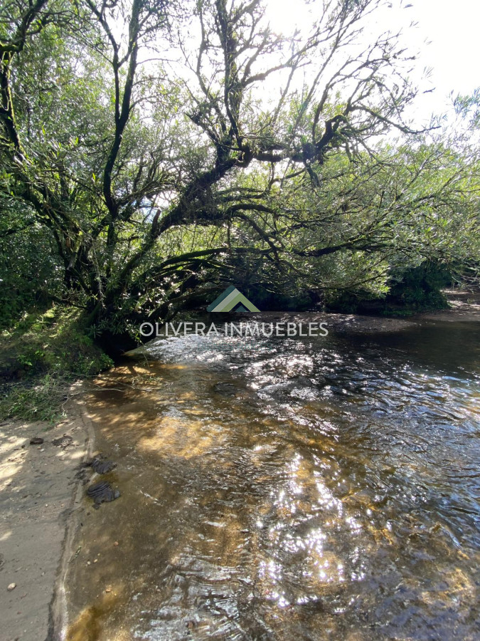 Campo Ref.13404 - CAMPO DE 13 HECTAREAS A 3 KILOMETROS DE PUEBLO EDEN 