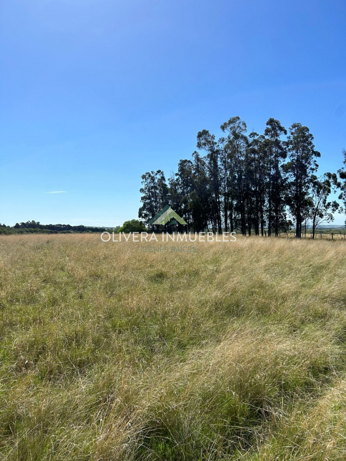 Campo Ref.9808 - VENTA DE CAMPO EN SAN CARLOS