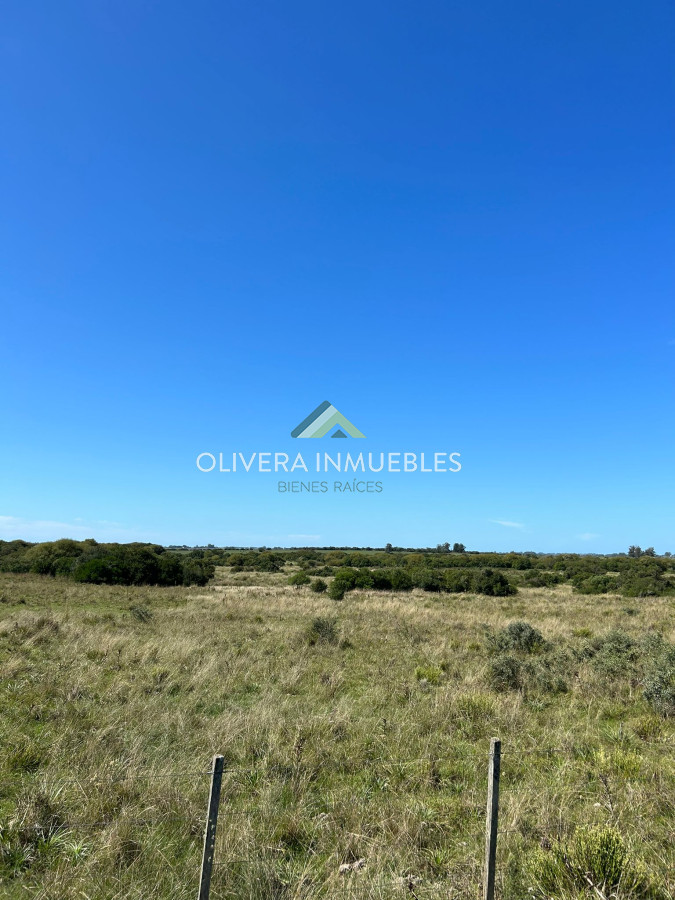 Campo Ref.9808 - VENTA DE CAMPO EN SAN CARLOS