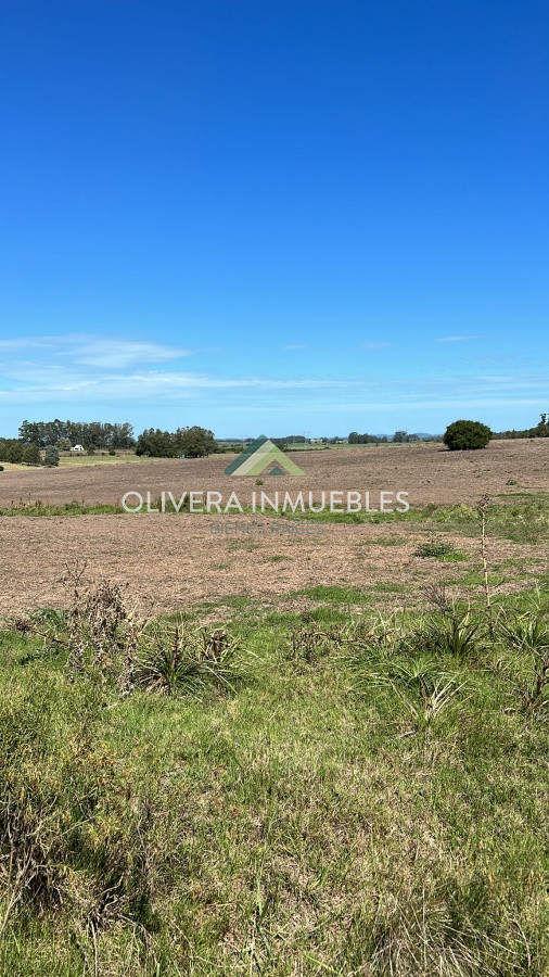 Campo Ref.9806 - VENTA CAMPO EN SAN CARLOS
