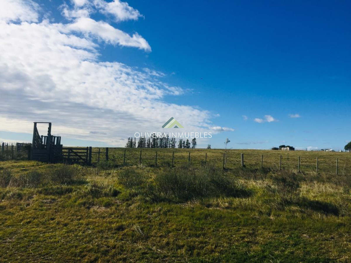 Campo Ref.9808 - VENTA DE CAMPO EN SAN CARLOS