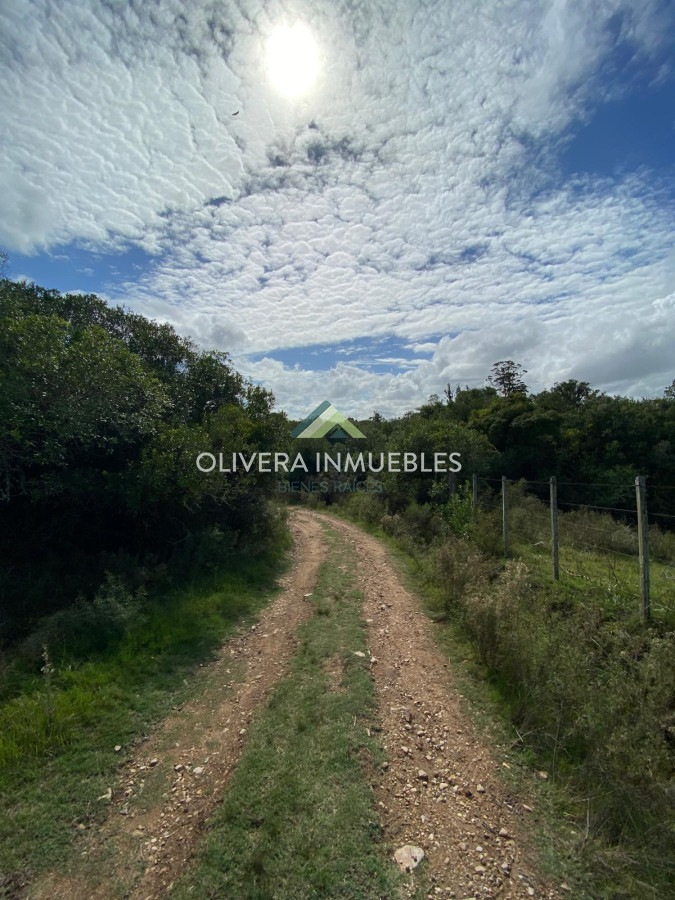 Campo Ref.13404 - CAMPO DE 13 HECTAREAS A 3 KILOMETROS DE PUEBLO EDEN 