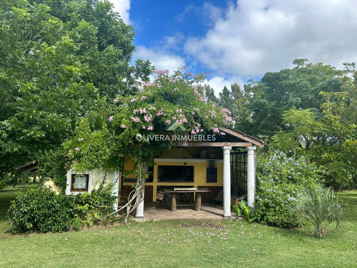 Campo Ref.11392 - Campo con casa-hotel en venta ubicado en Mariscala