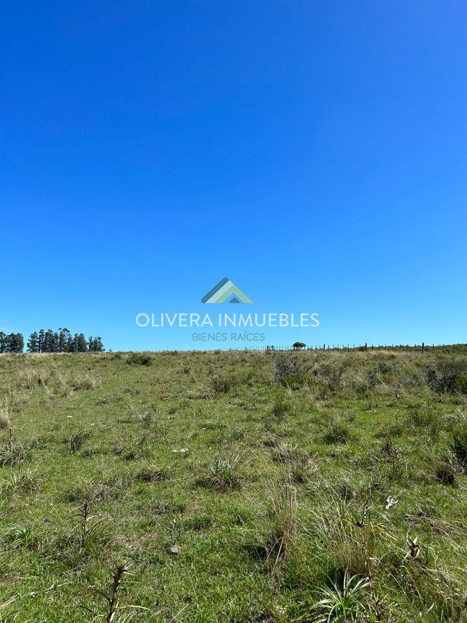 Campo Ref.9808 - VENTA DE CAMPO EN SAN CARLOS