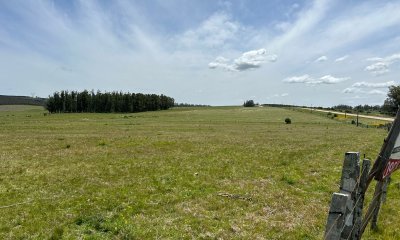 Campo en venta, perteneciente a San Carlos