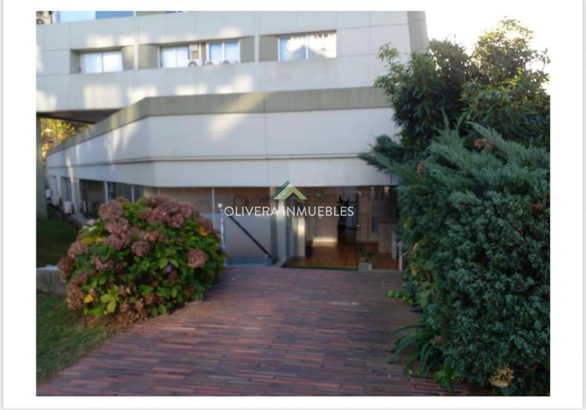 Local Comercial ID.13846 - Local en alquiler anual, Punta del Este