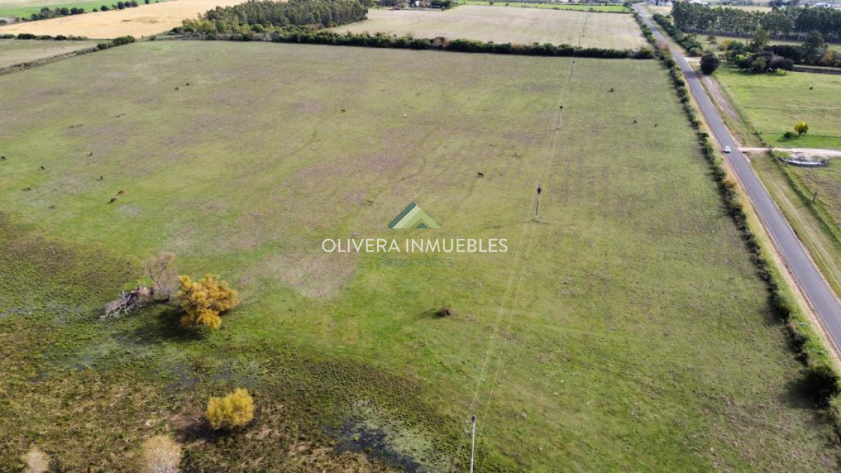 Terreno ID.8153 - Terreno en Venta Paysandu