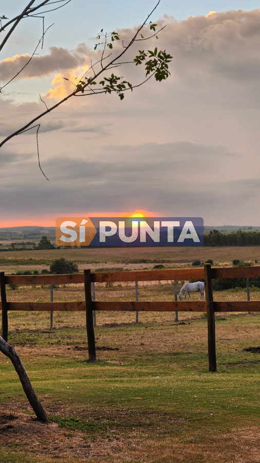 Chacra ID.13736 - OPORTUNIDAD !!!!  VENDO CHACRA DE 14 HAS QUE YA NO SE ENCUENTRAN EN LA ZONA . CANCHA DE POLO , PICADERO Y CABALLERIZAS 