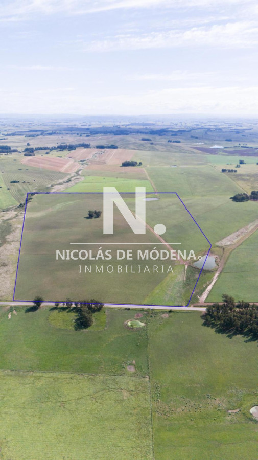 Campo de 42 Hectáreas con Alto Potencial de Inversión y Fraccionamiento - Ruta 104 & Camino del Medellín - NDM29033P