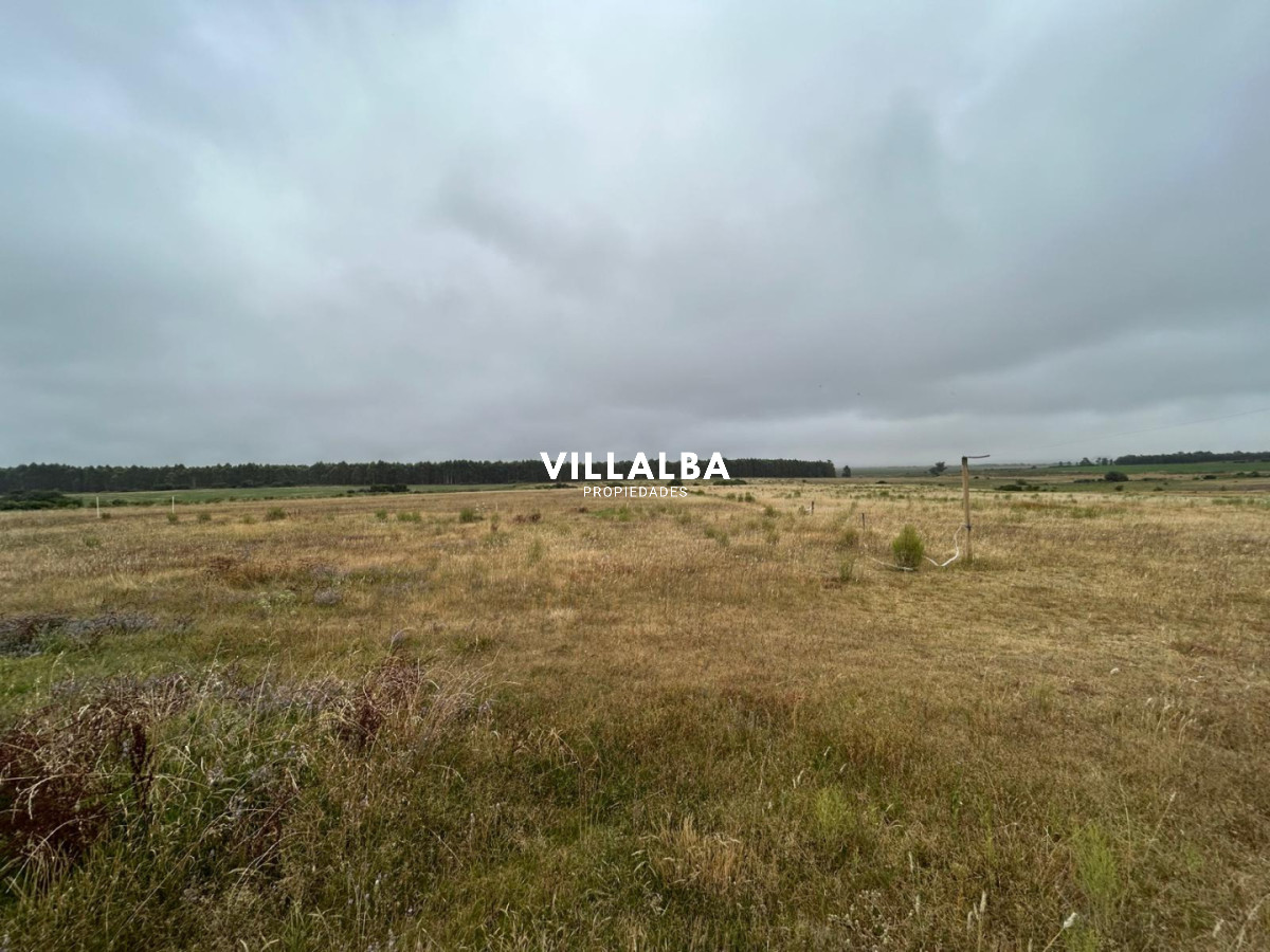 Chacra ID.4071 - LUGAR DE ENSUEÑO !!!!  VENDO CHACRA DE 14 HAS QUE YA NO SE ENCUENTRAN EN LA ZONA . CANCHA DE POLO , PICADERO Y CABALLERIZAS 