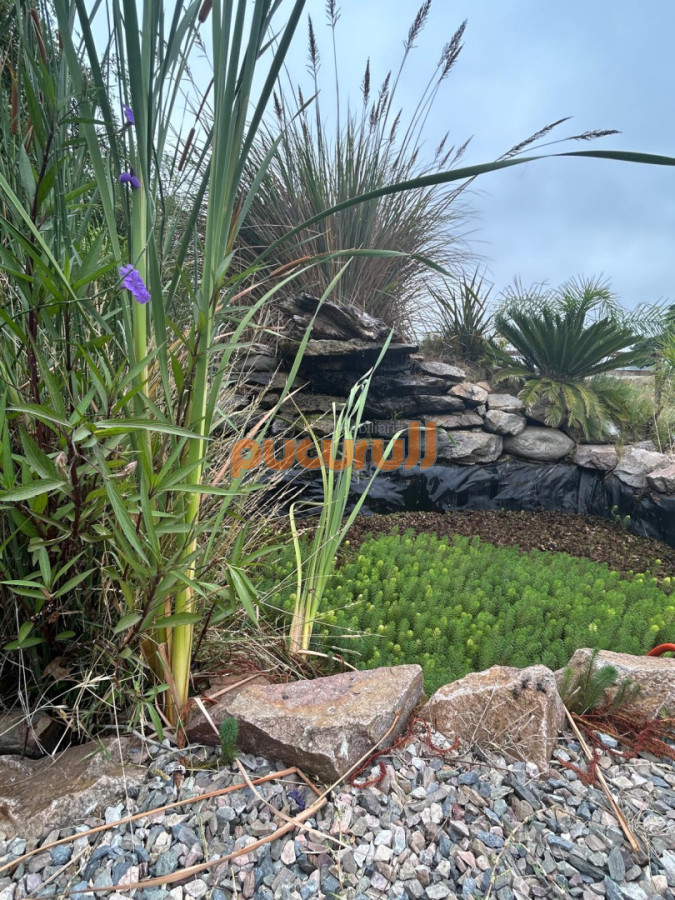Chacra ID.2799 - LUGAR DE ENSUEÑO !!!!  VENDO CHACRA DE 14 HAS QUE YA NO SE ENCUENTRAN EN LA ZONA . CANCHA DE POLO , PICADERO Y CABALLERIZAS 