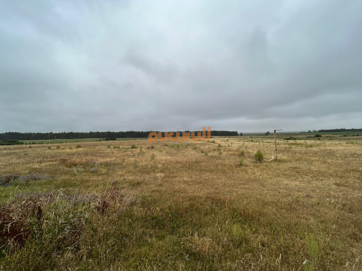 Chacra ID.2799 - LUGAR DE ENSUEÑO !!!!  VENDO CHACRA DE 14 HAS QUE YA NO SE ENCUENTRAN EN LA ZONA . CANCHA DE POLO , PICADERO Y CABALLERIZAS 