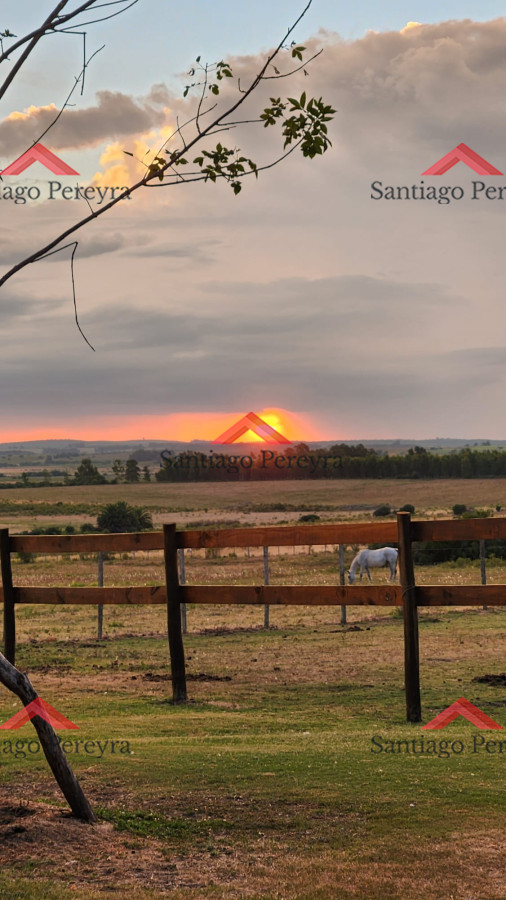 Chacra ID.16772 - OPORTUNIDAD !!!! VENDO CHACRA DE 14 HAS QUE YA NO SE ENCUENTRAN EN LA ZONA . CANCHA DE POLO , PICADERO Y CABALLERIZAS