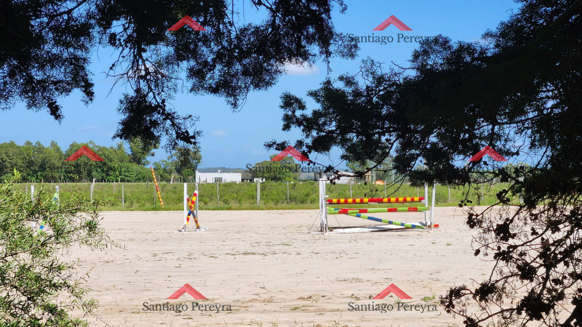 Chacra ID.16772 - OPORTUNIDAD !!!! VENDO CHACRA DE 14 HAS QUE YA NO SE ENCUENTRAN EN LA ZONA . CANCHA DE POLO , PICADERO Y CABALLERIZAS