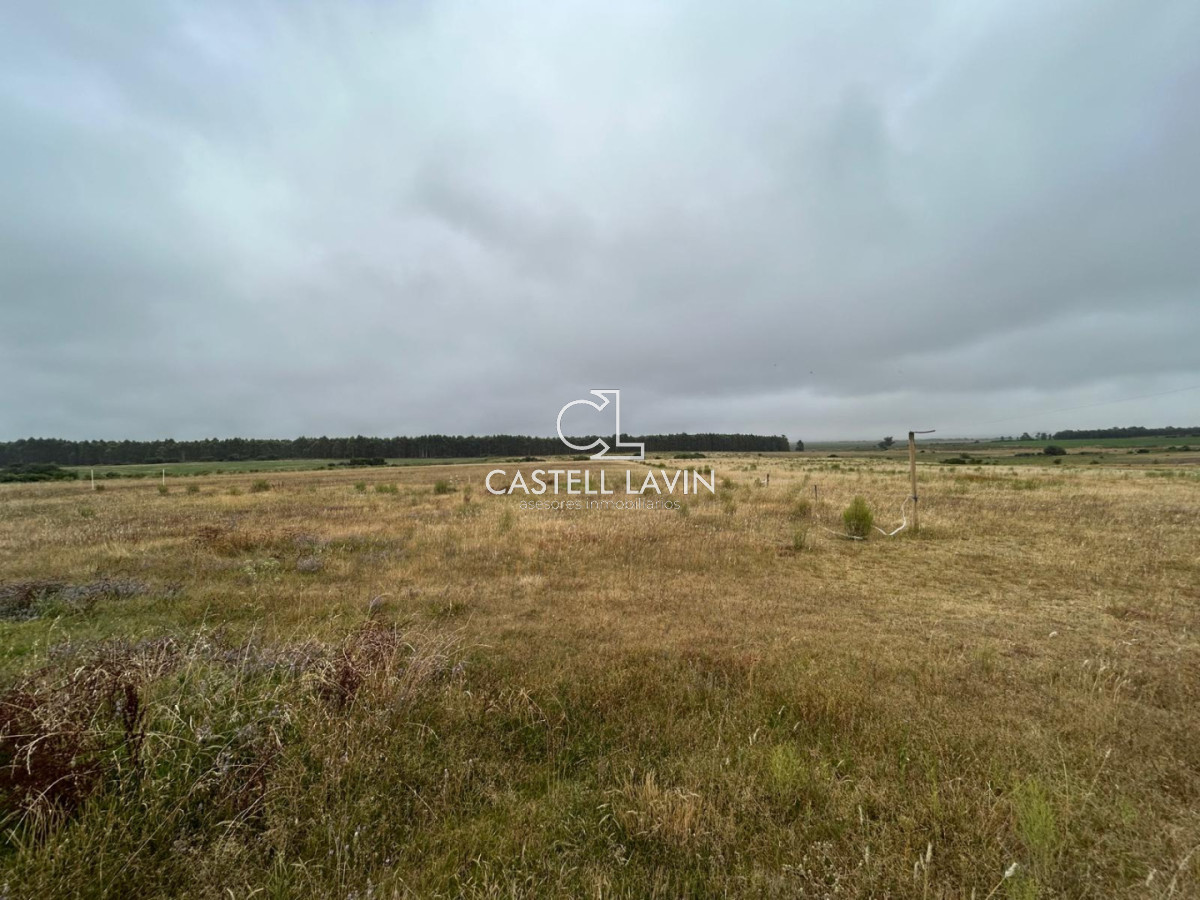 Chacra ID.847 - OPORTUNIDAD !!!!  VENDO CHACRA DE 14 HAS QUE YA NO SE ENCUENTRAN EN LA ZONA . CANCHA DE POLO , PICADERO Y CABALLERIZAS 