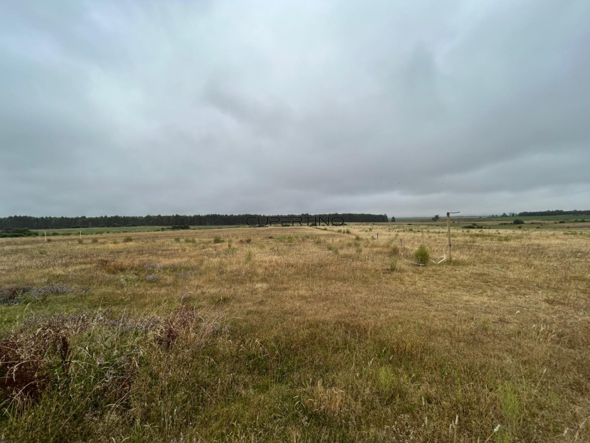 Chacra ID.3670 - LUGAR DE ENSUEÑO !!!!  VENDO CHACRA DE 14 HAS QUE YA NO SE ENCUENTRAN EN LA ZONA . CANCHA DE POLO , PICADERO Y CABALLERIZAS 