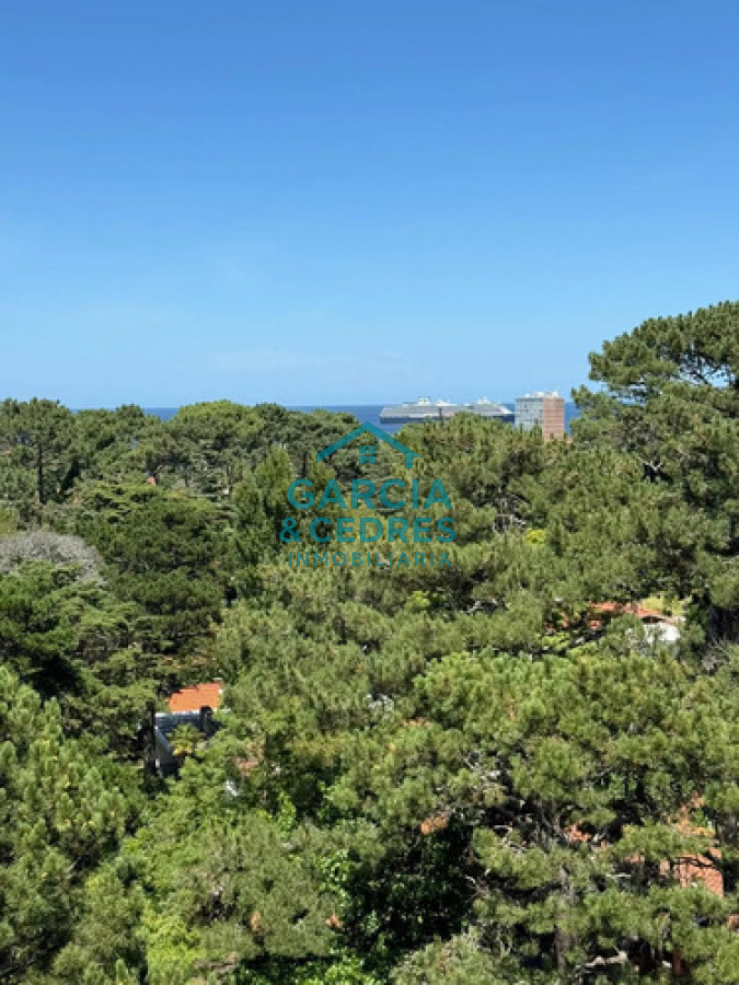 Apartamento ID.330 - Alquiler anual en apartamento amoblado de 1 dormitorio con piscina, Punta Del Este.