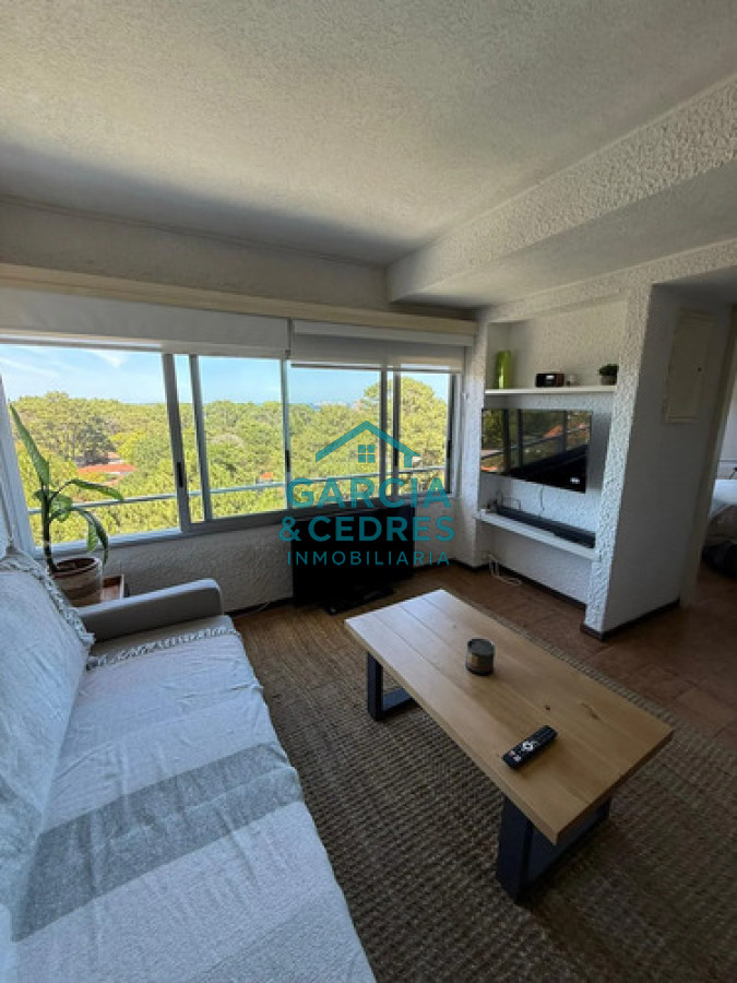 Apartamento ID.330 - Alquiler anual en apartamento amoblado de 1 dormitorio con piscina, Punta Del Este.