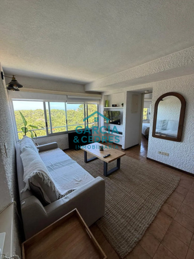 Apartamento ID.330 - Alquiler anual en apartamento amoblado de 1 dormitorio con piscina, Punta Del Este.