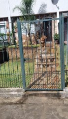 Se Vende Apartamento 2 Dormitorios en Lezica