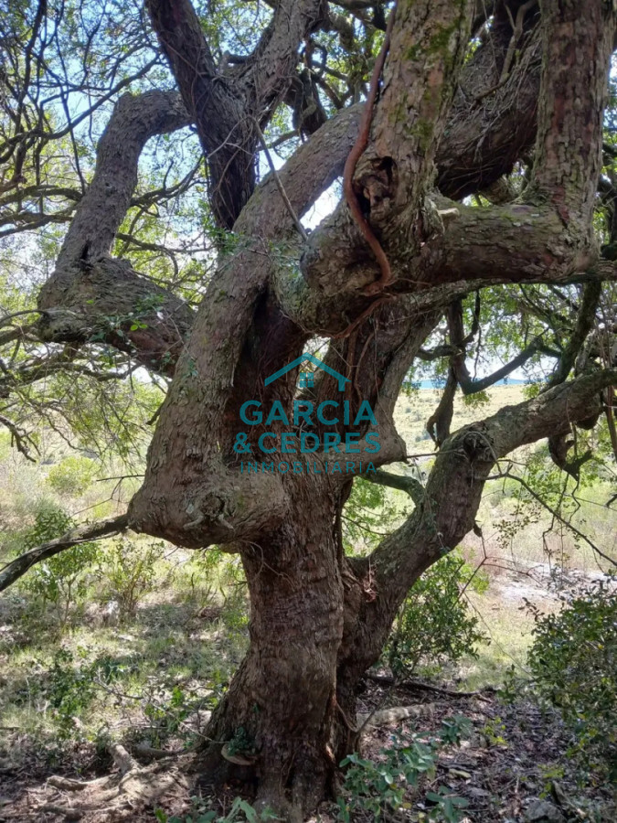 Chacra ID.561 - Chacra De 5 Has En Sierras De Carapé