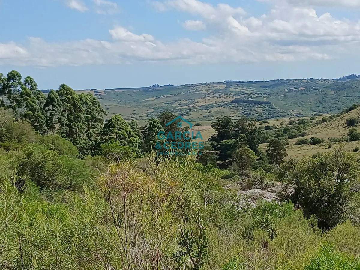 Chacra ID.561 - Chacra De 5 Has En Sierras De Carapé