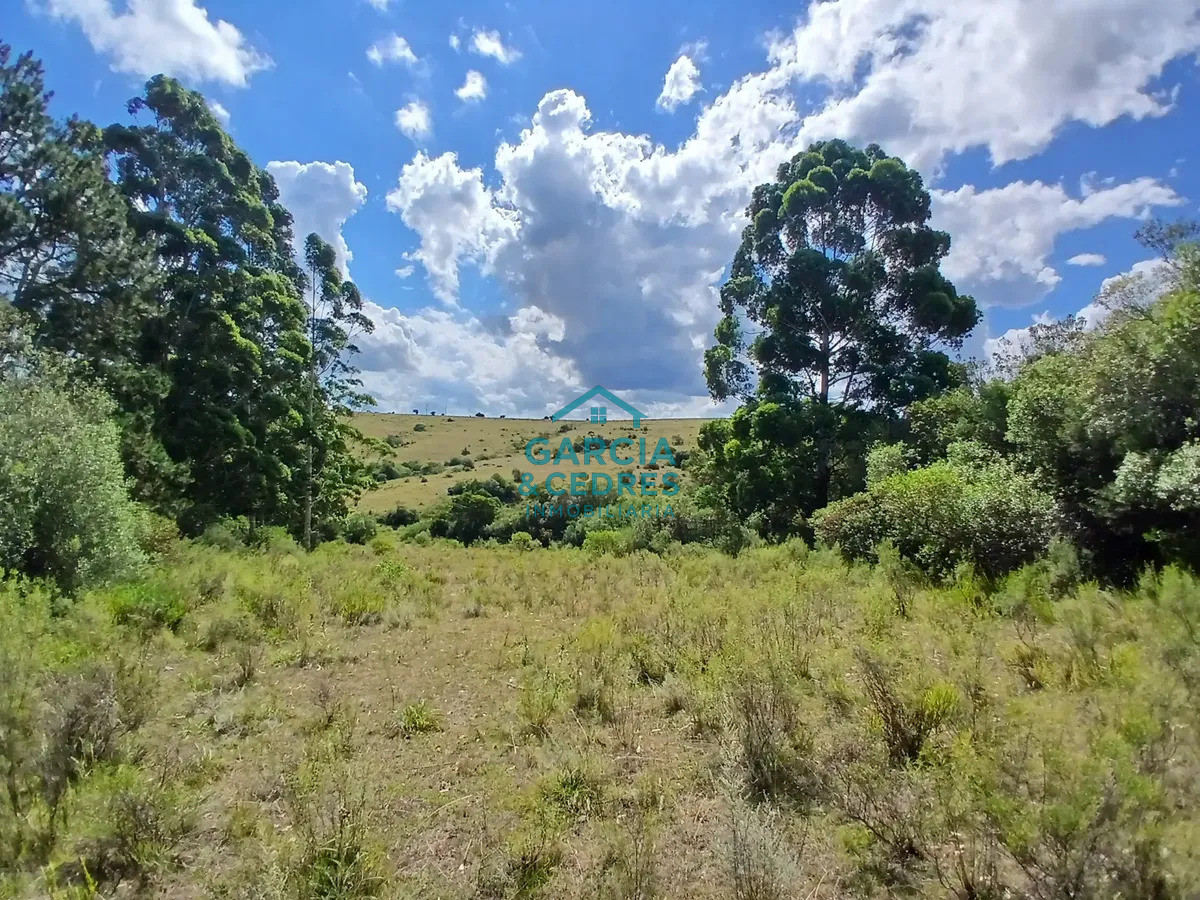 Chacra ID.561 - Chacra De 5 Has En Sierras De Carapé
