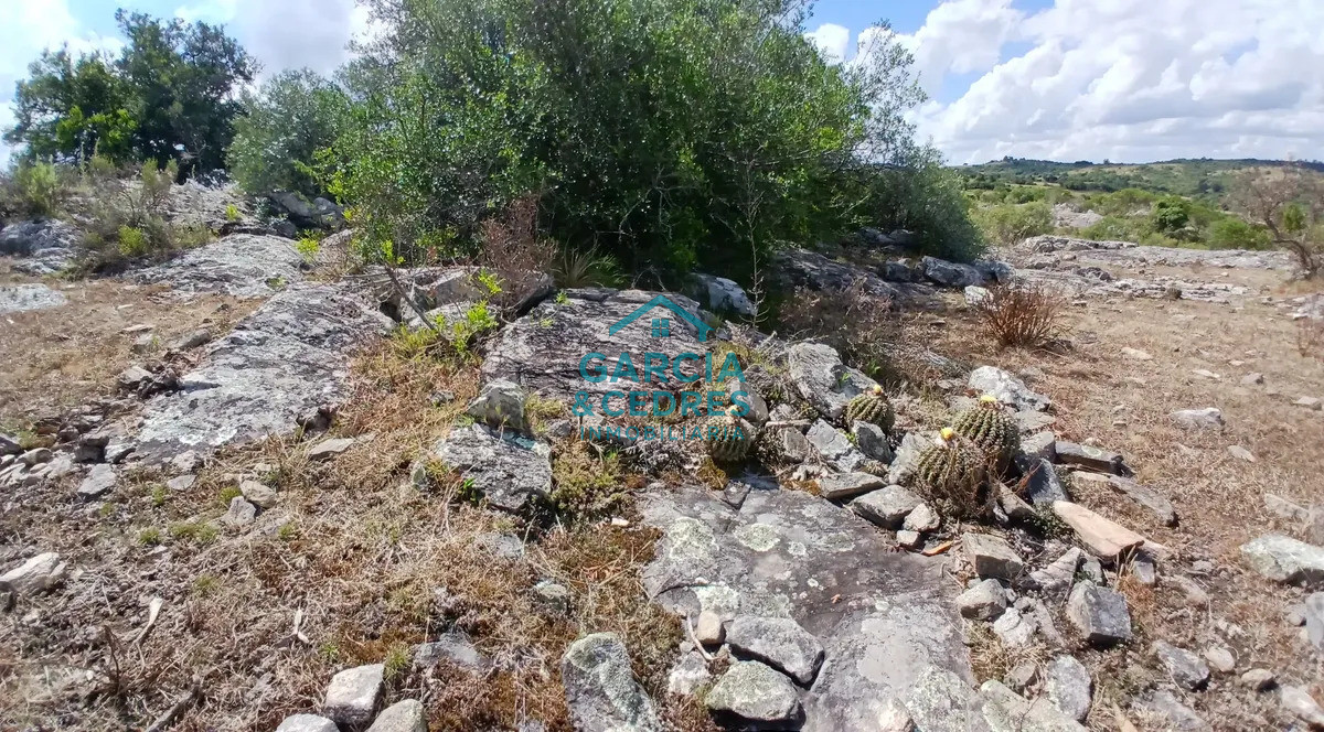 Chacra ID.561 - Chacra De 5 Has En Sierras De Carapé