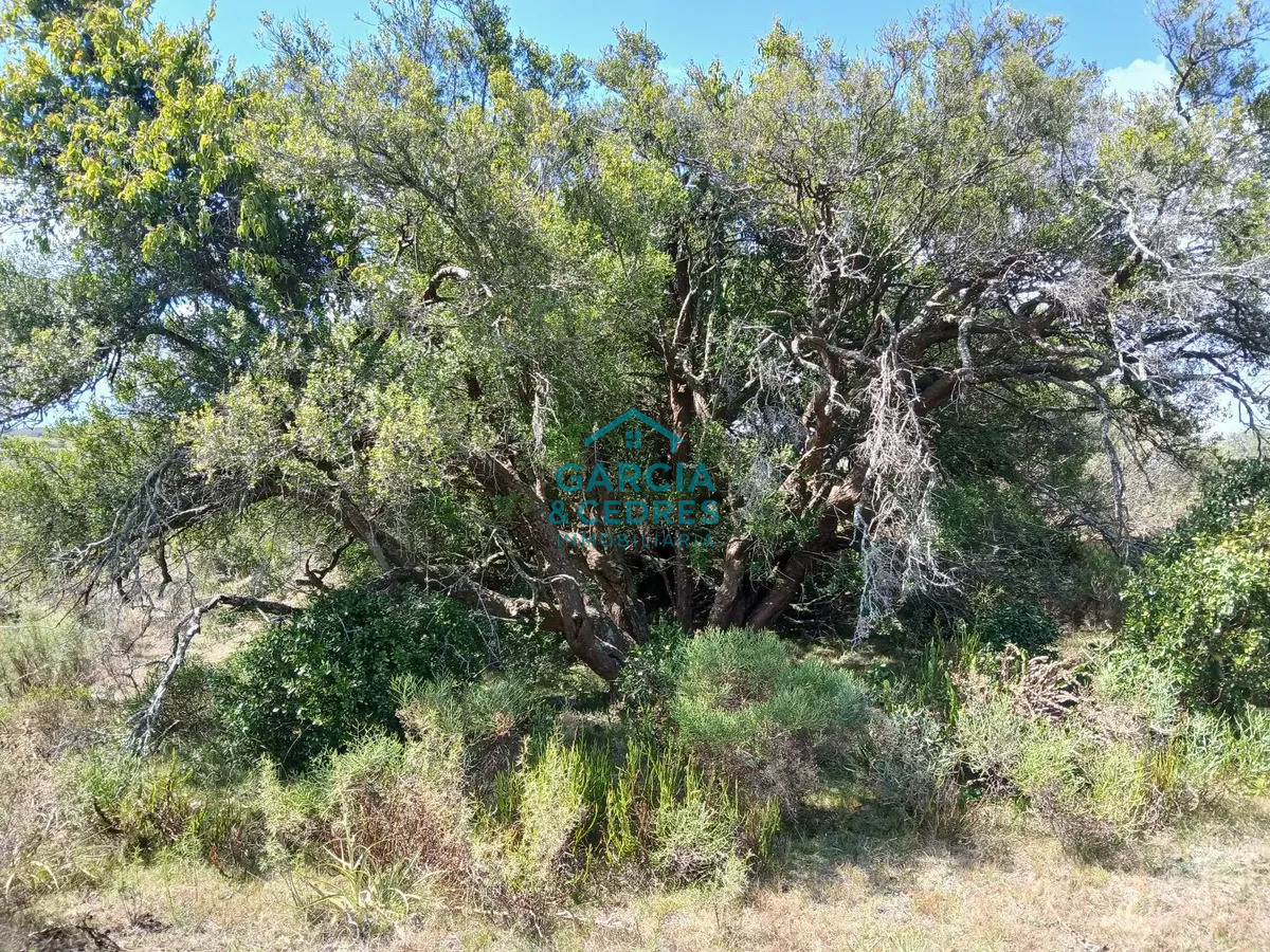Chacra ID.561 - Chacra De 5 Has En Sierras De Carapé