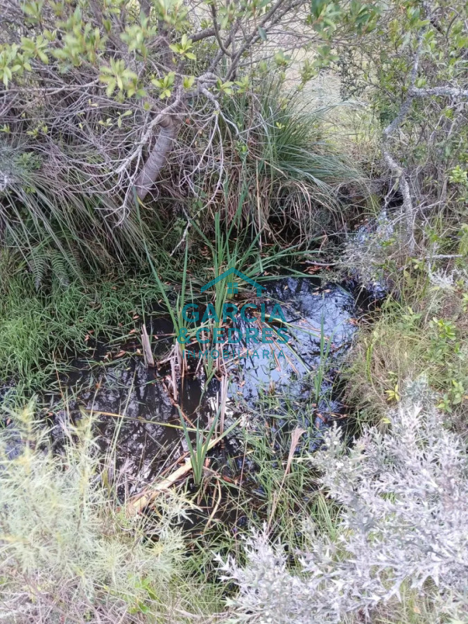 Chacra ID.561 - Chacra De 5 Has En Sierras De Carapé