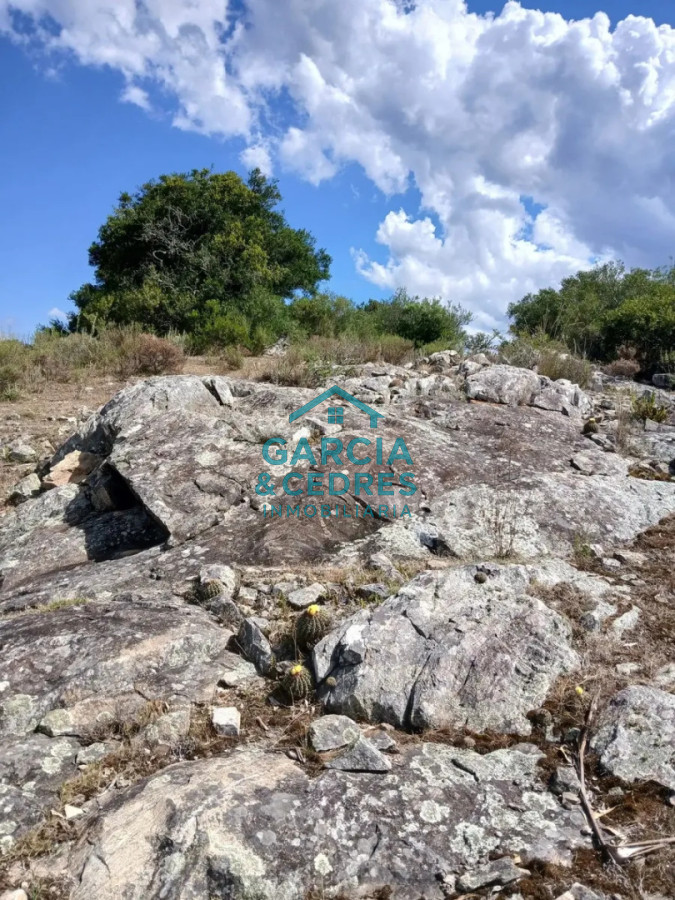 Chacra ID.561 - Chacra De 5 Has En Sierras De Carapé