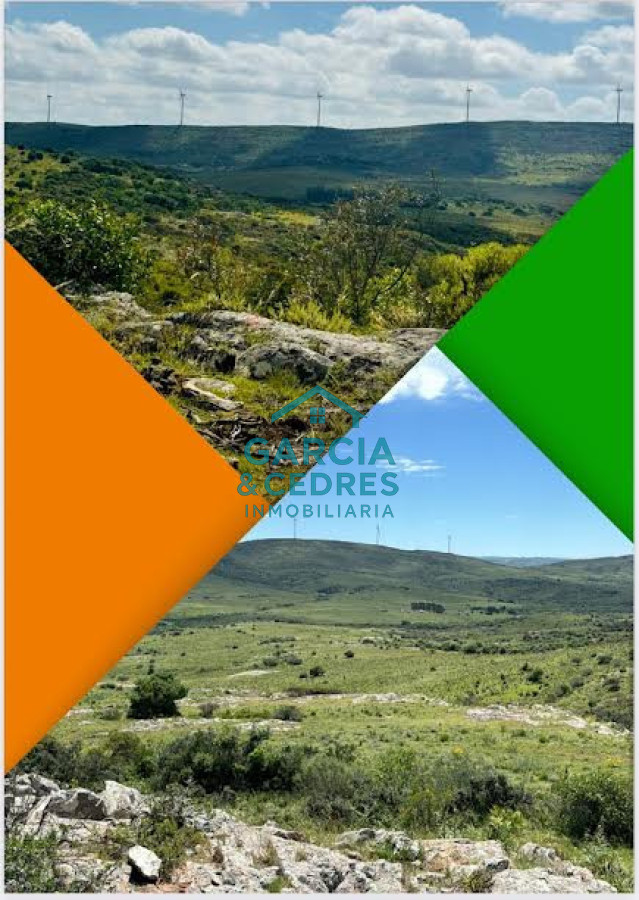 Chacra ID.3 - Chacras ruta 39 km 41.5 Valle de san nicolas 