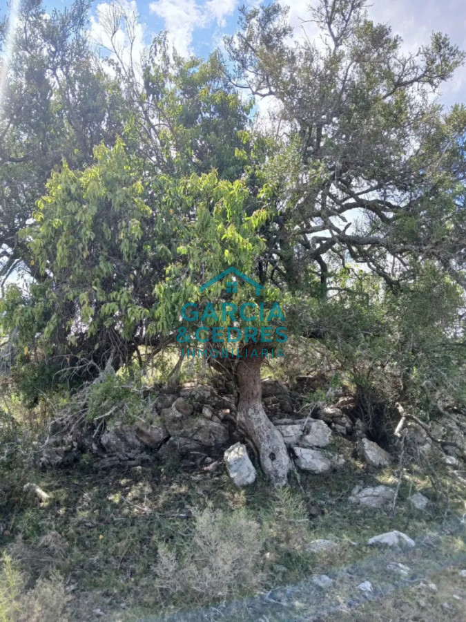 Chacra ID.561 - Chacra De 5 Has En Sierras De Carapé