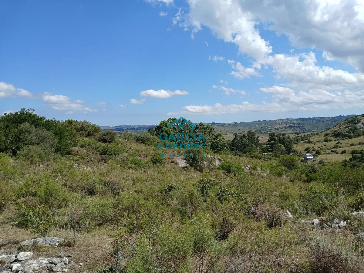 Chacra ID.561 - Chacra De 5 Has En Sierras De Carapé
